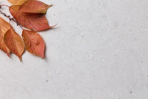Amalfi-Travertine-1